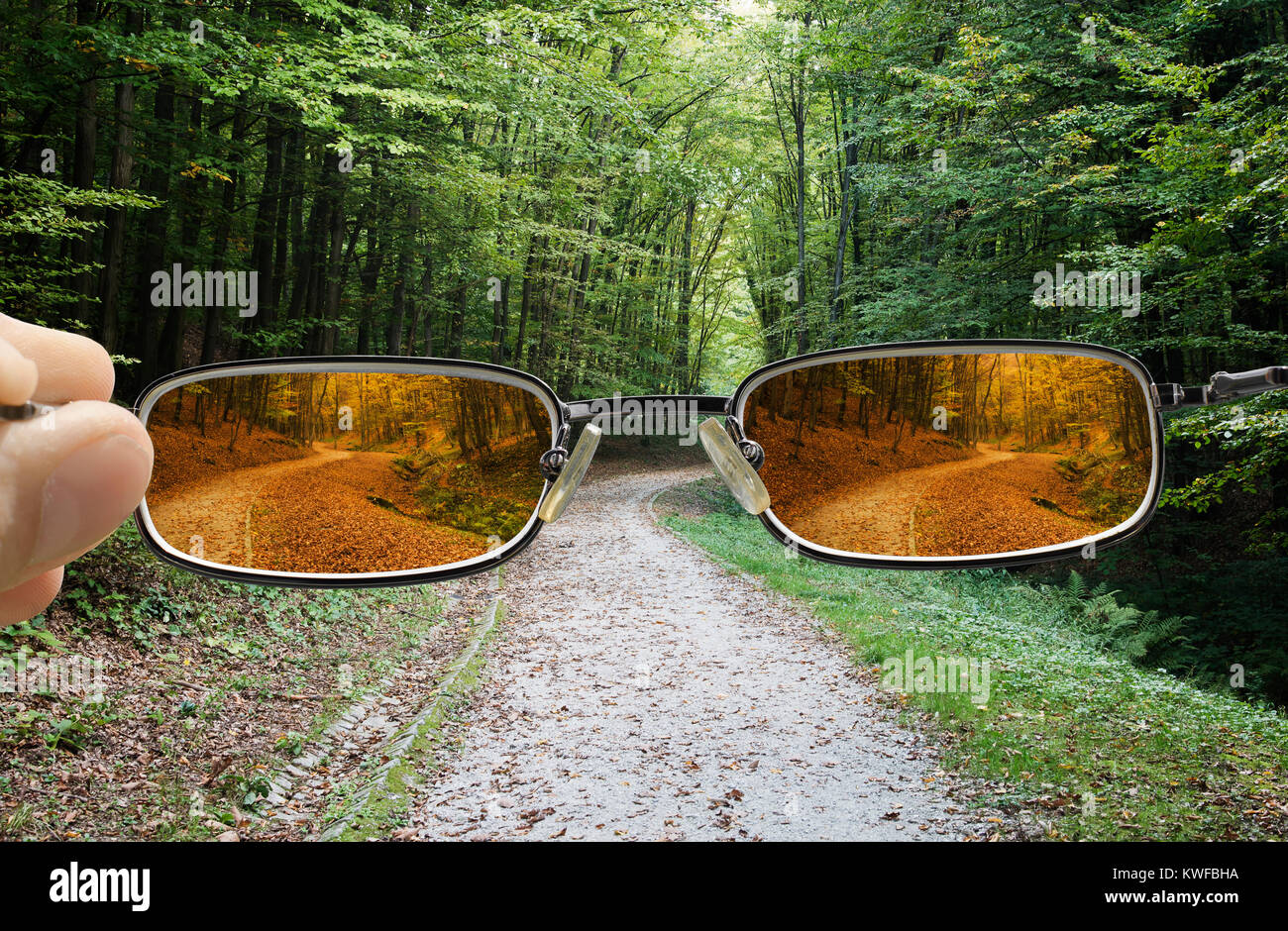 Wald im Frühling mit Hand eine Brille, die Vision zu Herbst Änderungen Stockfoto