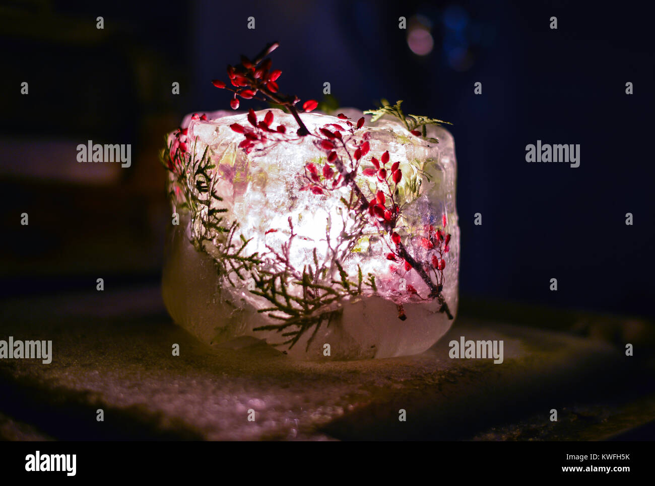 Gefrorene luminary Winter Eis Kerzenhalter für outdoor Dekor. Licht mit votive oder Flammen mit roten Beeren, Tanne, Fichte, kiefer Branchen. leuchtet von innen heraus. Stockfoto