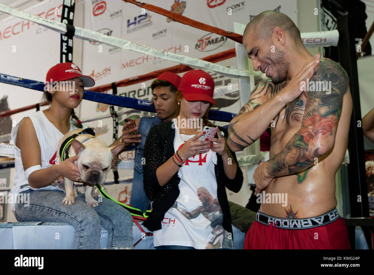 ORLANDO, FL - 01. Oktober: 3-Division und vier Weltmeister Miguel Cotto in Caguas, Puerto Rico, kommt an der Don Miguel Boxing Gym in Orlando, ein Paar rosa Socken zusammen mit seinen rosafarbenen Crocs, als er einen großen Auftritt mit einer seiner Französische Bulldoggen und Frau Melissa den letzten Schliff an seinem Ausbildungslager für seinen nächsten Kampf am Samstag zu legen, 5. Oktober gegen obere Kämpfer Delvin Rodriguez an der Amway Center Arena. Miguel Angel Cotto (am 29. Oktober 1980 geboren) ist ein Puerto Rican Profiboxer. Cotto ist ein ehemaliger WBA (Super) Licht Mittelgewichtmeister. Er ist Stockfoto