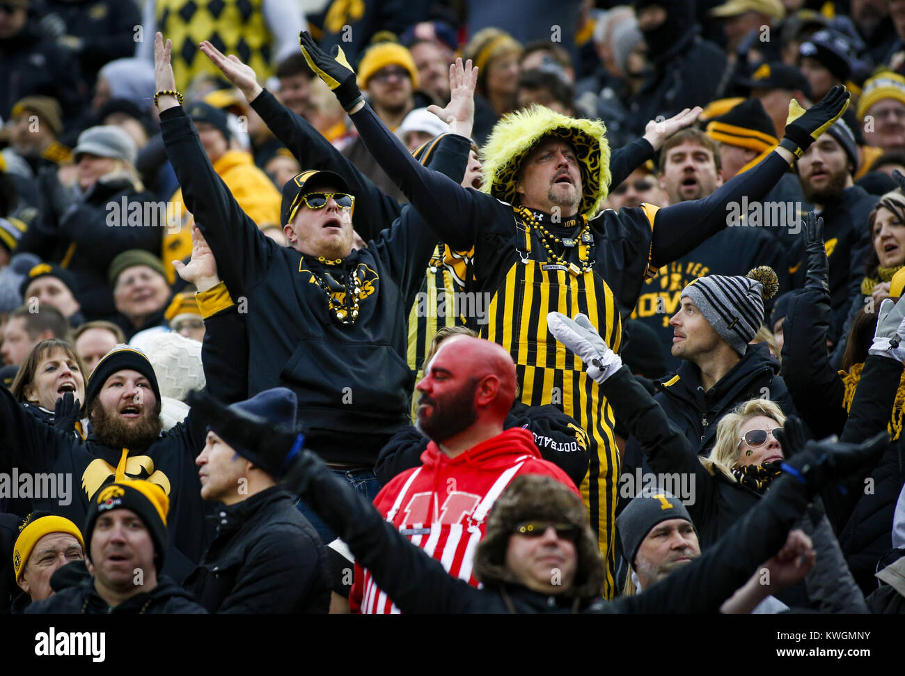 Iowa City, Iowa, USA. 25 Nov, 2016. Hawkeye Fans jubeln Im ersten Quartal ihr Spiel gegen den Nebraska Cornhuskers am Kinnick Stadium in Iowa City am Freitag, 25. November 2016. Credit: Andy Abeyta/Viererkabel - Zeiten/ZUMA Draht/Alamy leben Nachrichten Stockfoto