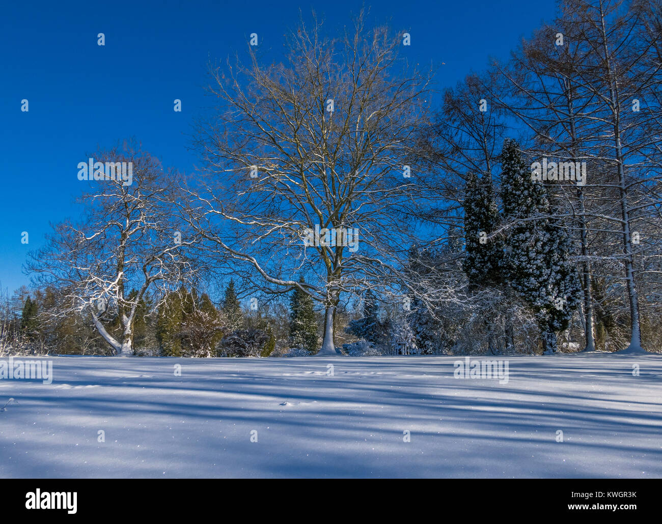 Schneebedeckte Landschaft im Winter, Bayern, Deutschland, Europa Stockfoto