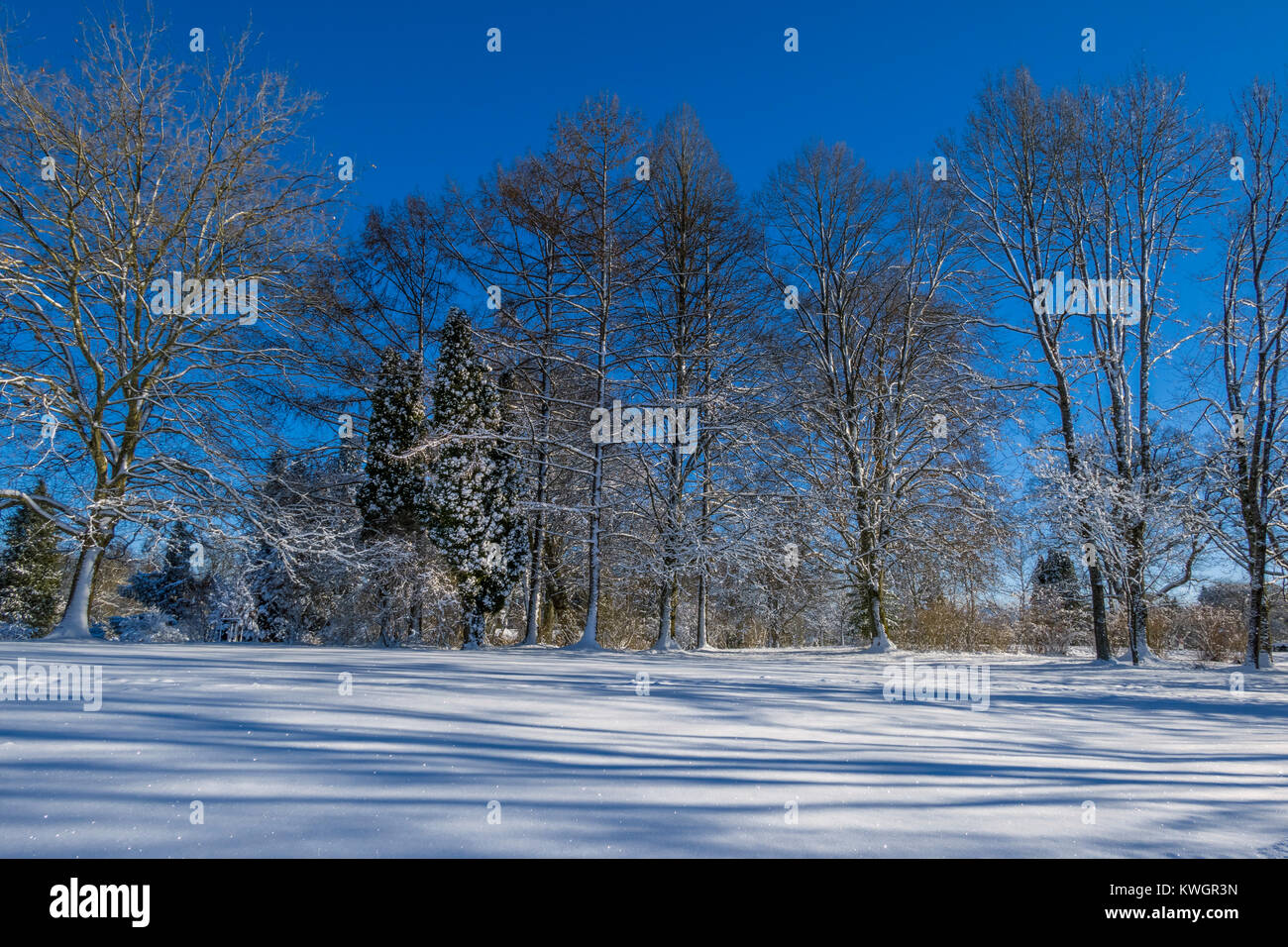 Schneebedeckte Landschaft im Winter, Bayern, Deutschland, Europa Stockfoto