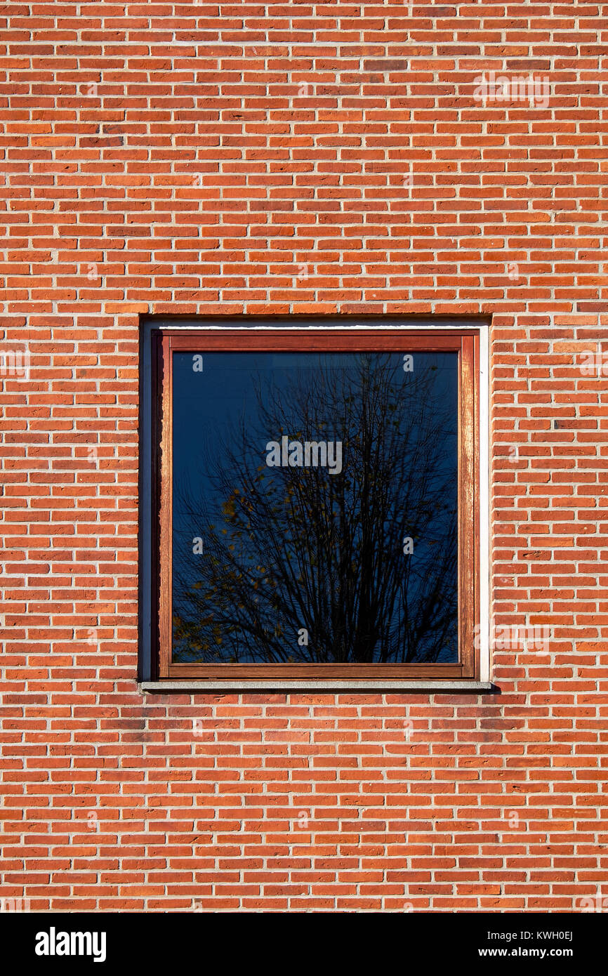 Quadratische Fenster mit hartholzrahmen in einem roten Backsteinfassade Stockfoto
