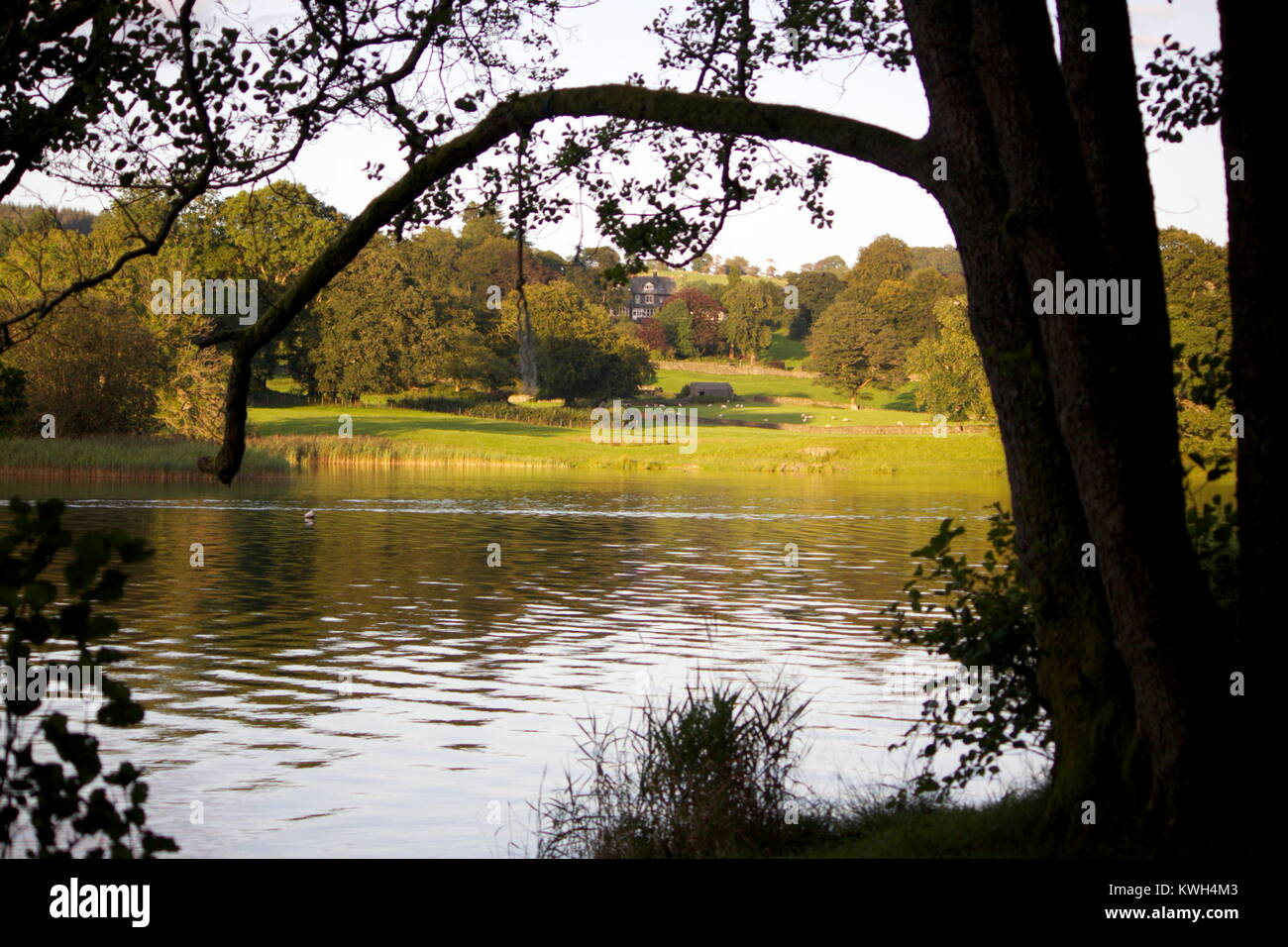 Esthwaite Wasser, Lake District, Cumbria, Hawkshead, Malcolm Buckland Stockfoto