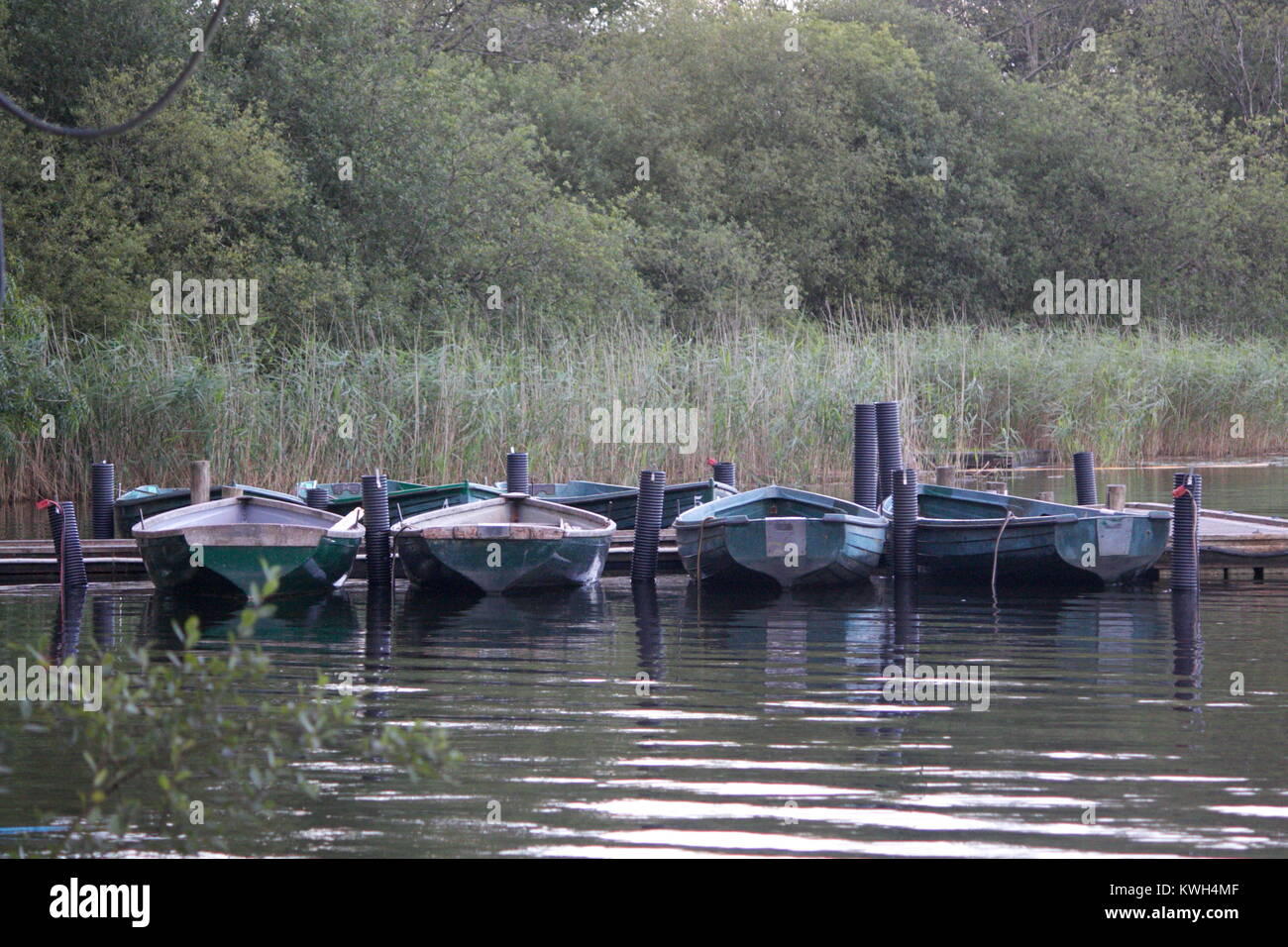 Esthwaite Wasser, Lake District, Cumbria, Hawkshead, Malcolm Buckland Stockfoto