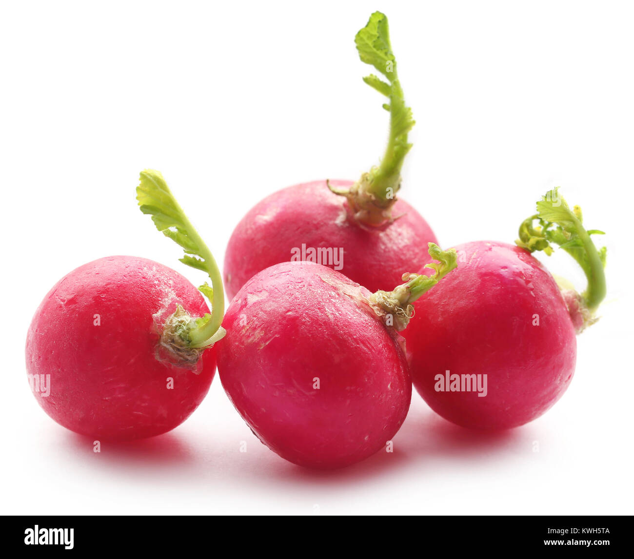 Frische kleine Radieschen auf weißem Hintergrund Stockfoto