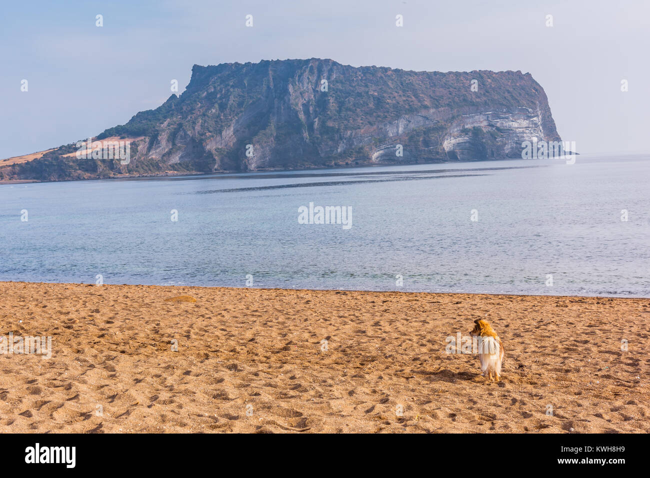 Seongsan Ilchulbong, Jeju Island, South Korea Stockfoto