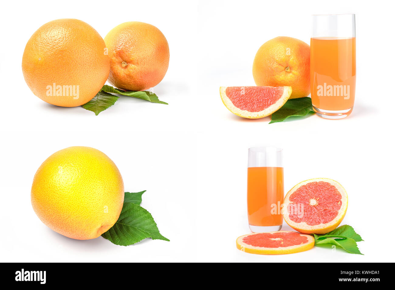 Gruppe von Grapefruit über einem weißen Hintergrund Stockfoto