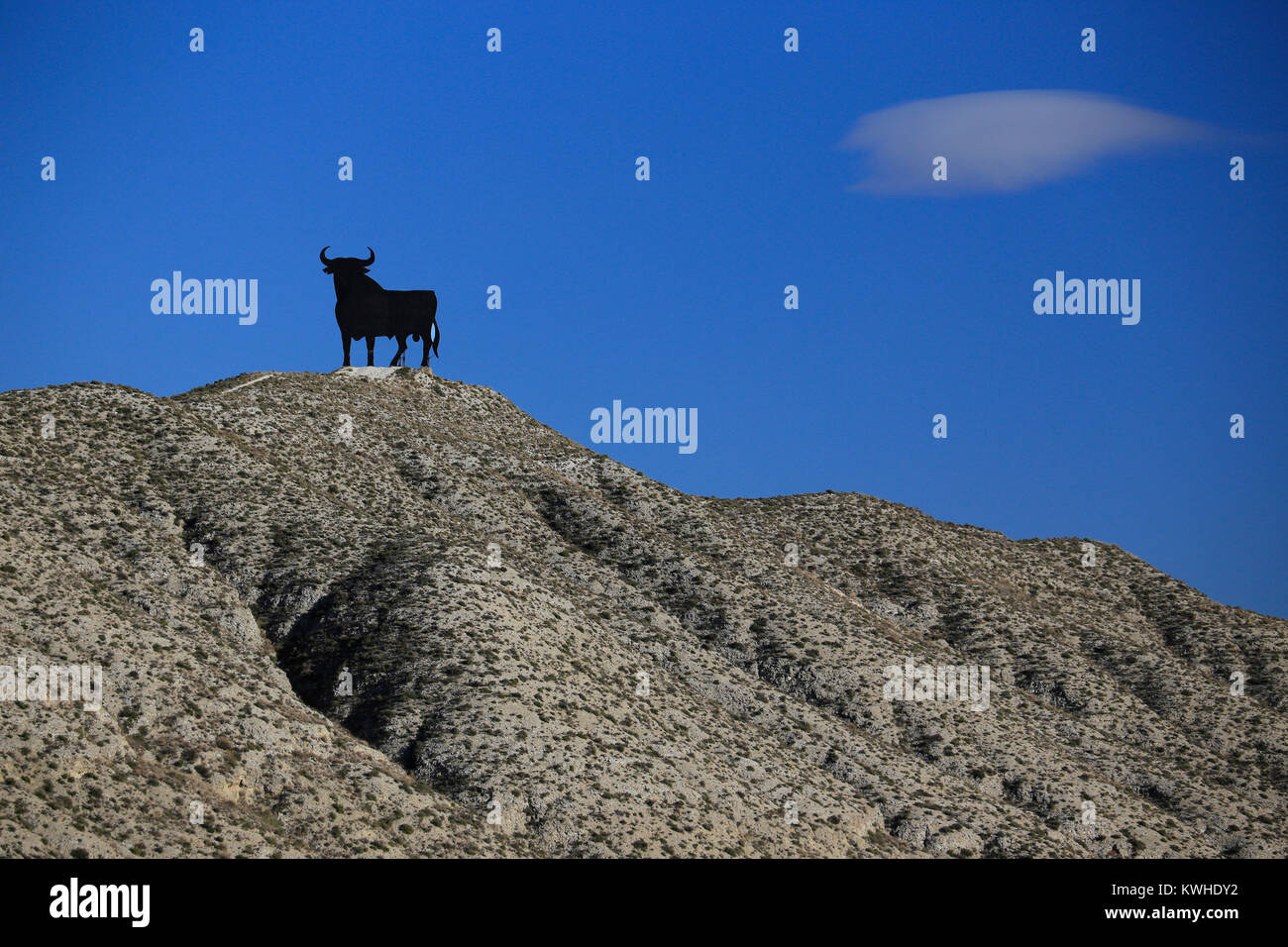 Schwarz Spanischer Stier auf einem Hügel gegen den tiefblauen Himmel Silhouette - Klassiker Spanien. Stockfoto
