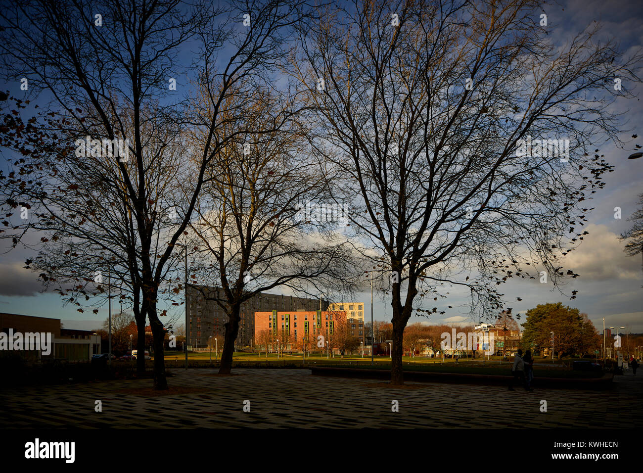 Salford University Campus Student Unterkunft auf der Peel Park Site zeigt die große Grünflächen Stockfoto