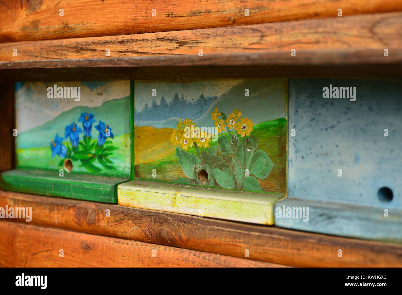 Typische slowenische Bienenhaus mit einzigartigen Bienenstock Panels. Stockfoto