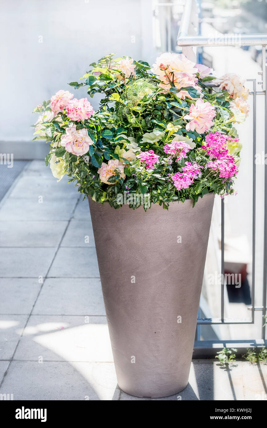 Schöne Terrasse, Topf mit Blumenarrangements: Rosen, Petunien und verbenen Blumen auf dem Balkon oder Terrasse. Städtische Container Pflanzmaschine Gartenarbeit Stockfoto