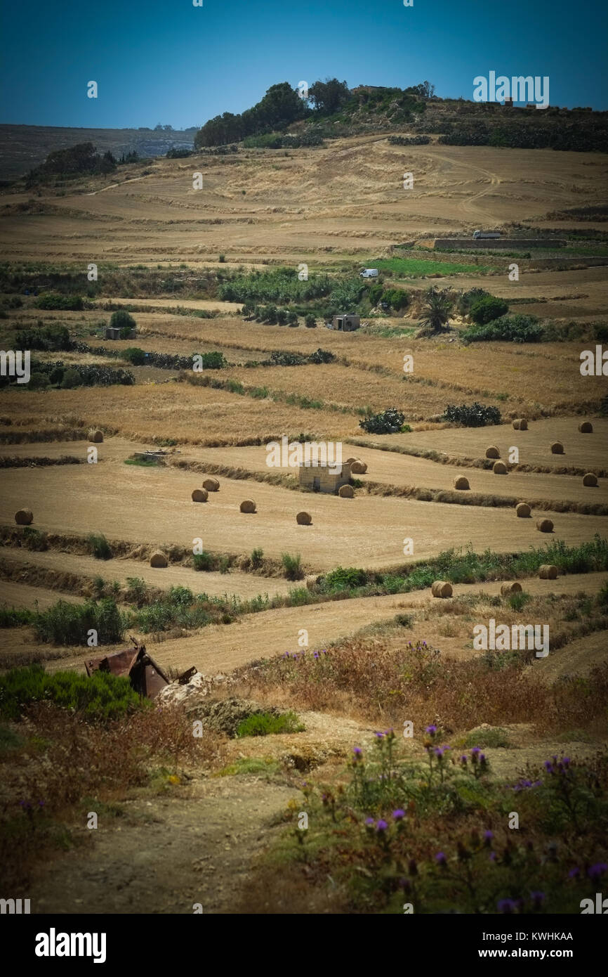 Gozo hat einen Walking, Wandern Weg um alle seine Küste geben einen atemberaubenden Blick auf das Meer, das Hinterland und eine unberührte Gefühl von Frieden und Ruhe Stockfoto