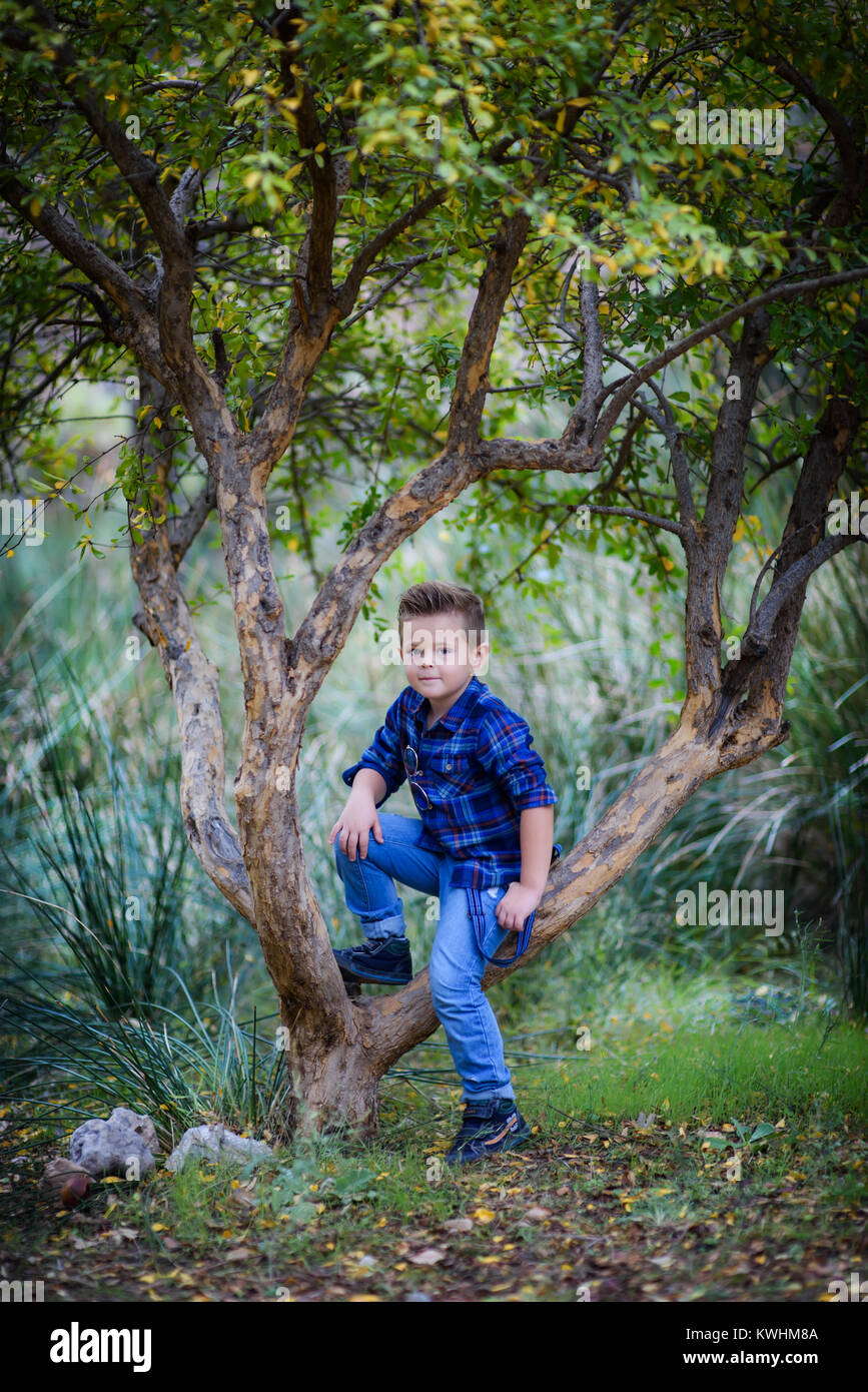 Schöne Modische kleine Junge auf einem Baum Stockfoto