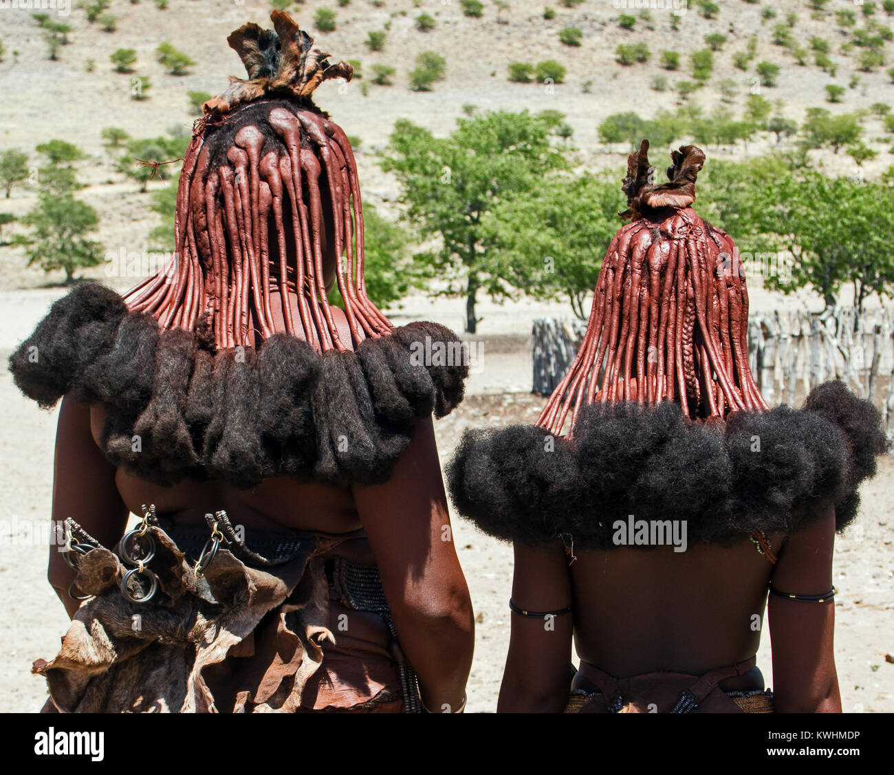 Frauen aus der semi-nomadischen Himba in Namibia. Ihr Haar wird mit einer Mischung aus Ocker Pulver und tierischen Fett bedeckt. Stockfoto