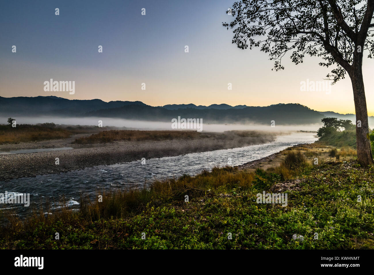 Morgennebel im Winter wo river Ramganga fließende, Life Line von Jim Corbett National Park Stockfoto