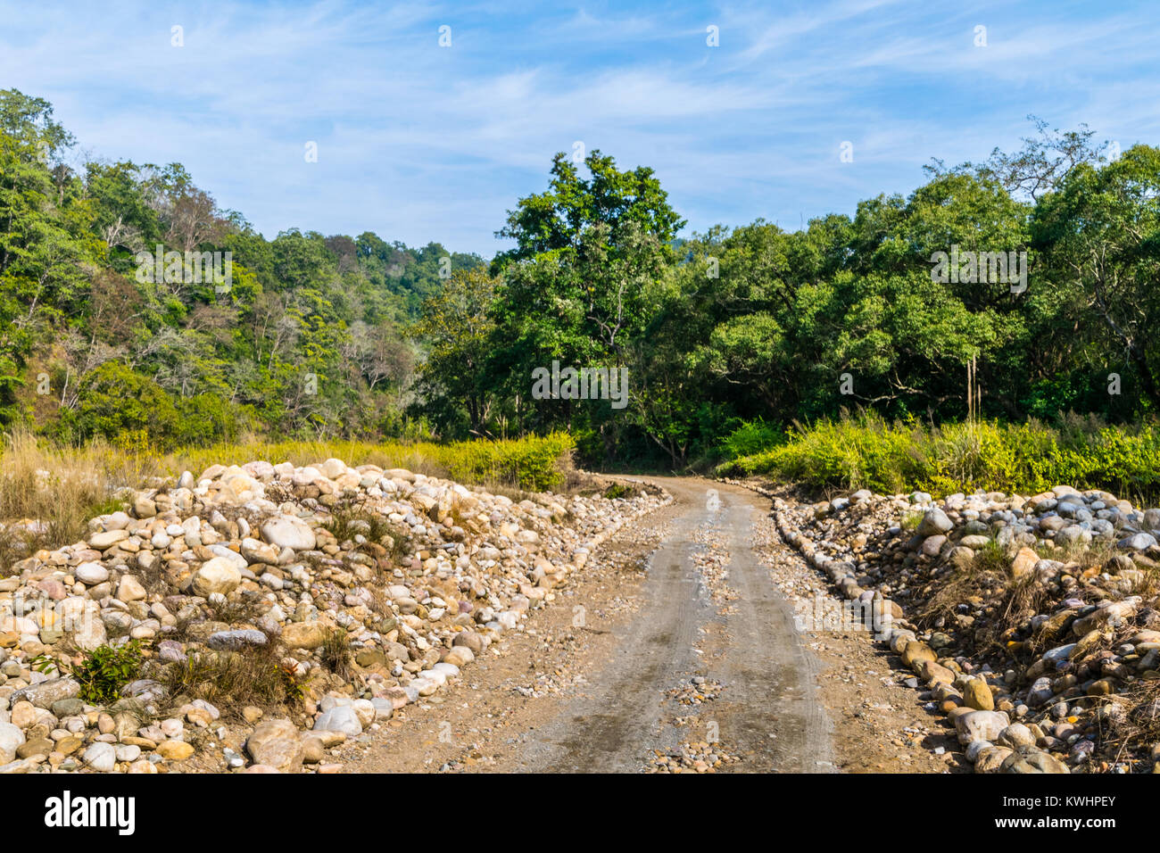 Safari trails bei Jim Corbett National Park Stockfoto