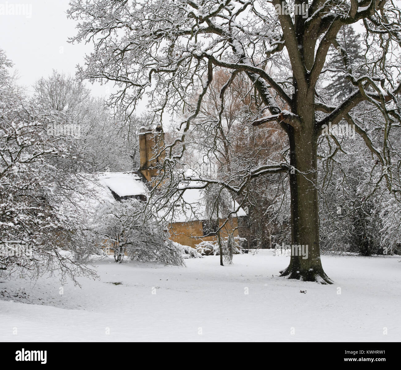 Reetdachhaus und Winter Bäume im Schnee im Dezember bei Batsford Arboretum, Cotswolds, Moreton-in-Marsh, Gloucestershire, England Stockfoto