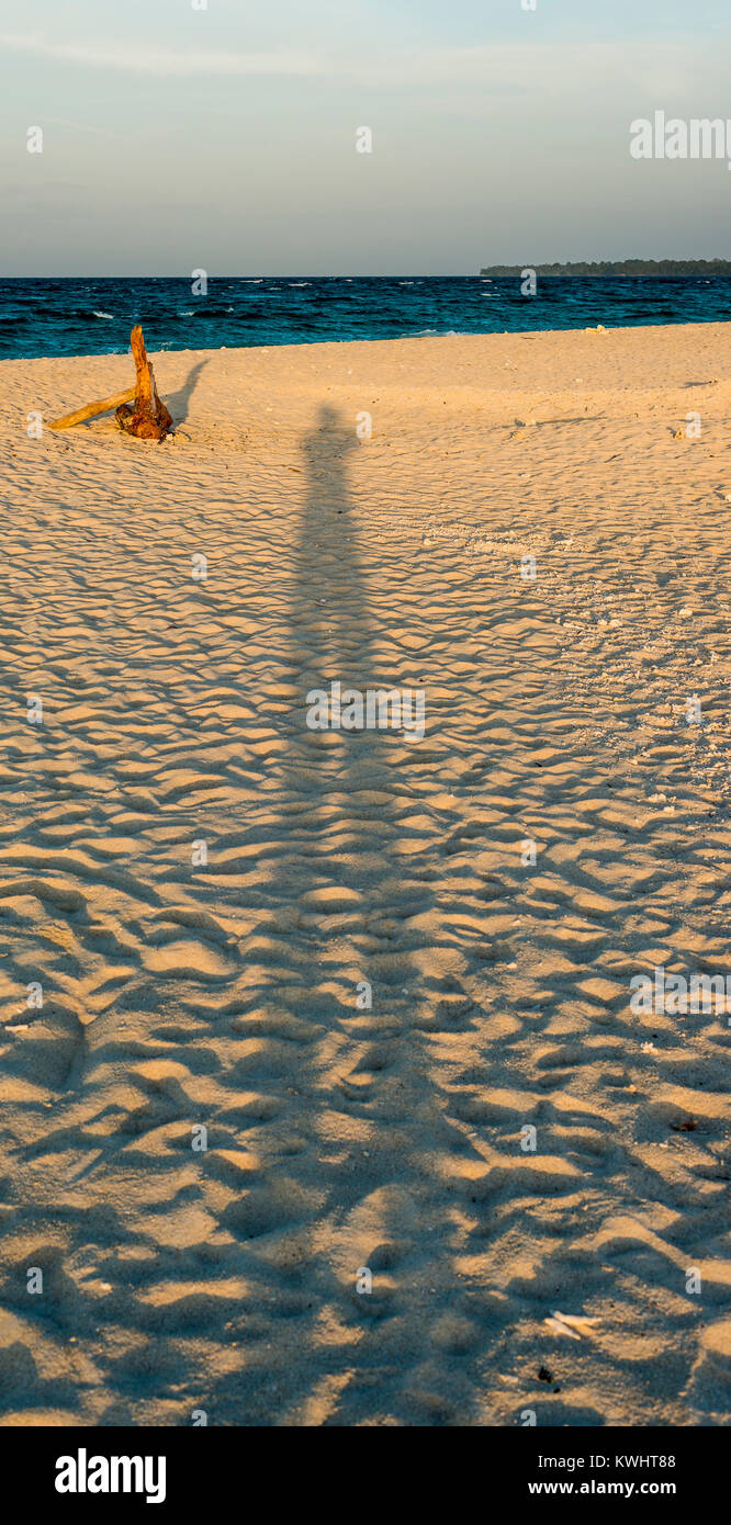 Lange Schatten auf einem weißen Sandstrand bei Sonnenuntergang Stockfoto