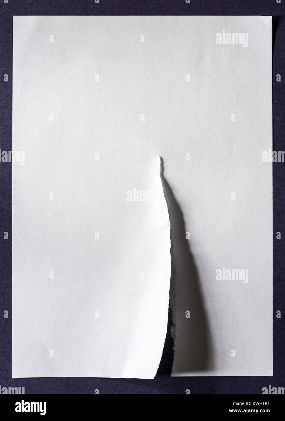 Weißes Blatt Papier, mit einer Träne, beschädigtes Blatt Papier. Stockfoto