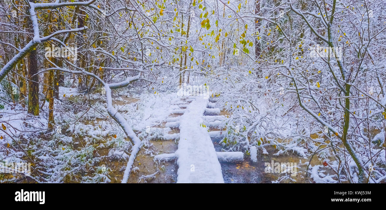 Winter in den Feuchtgebieten Stockfoto