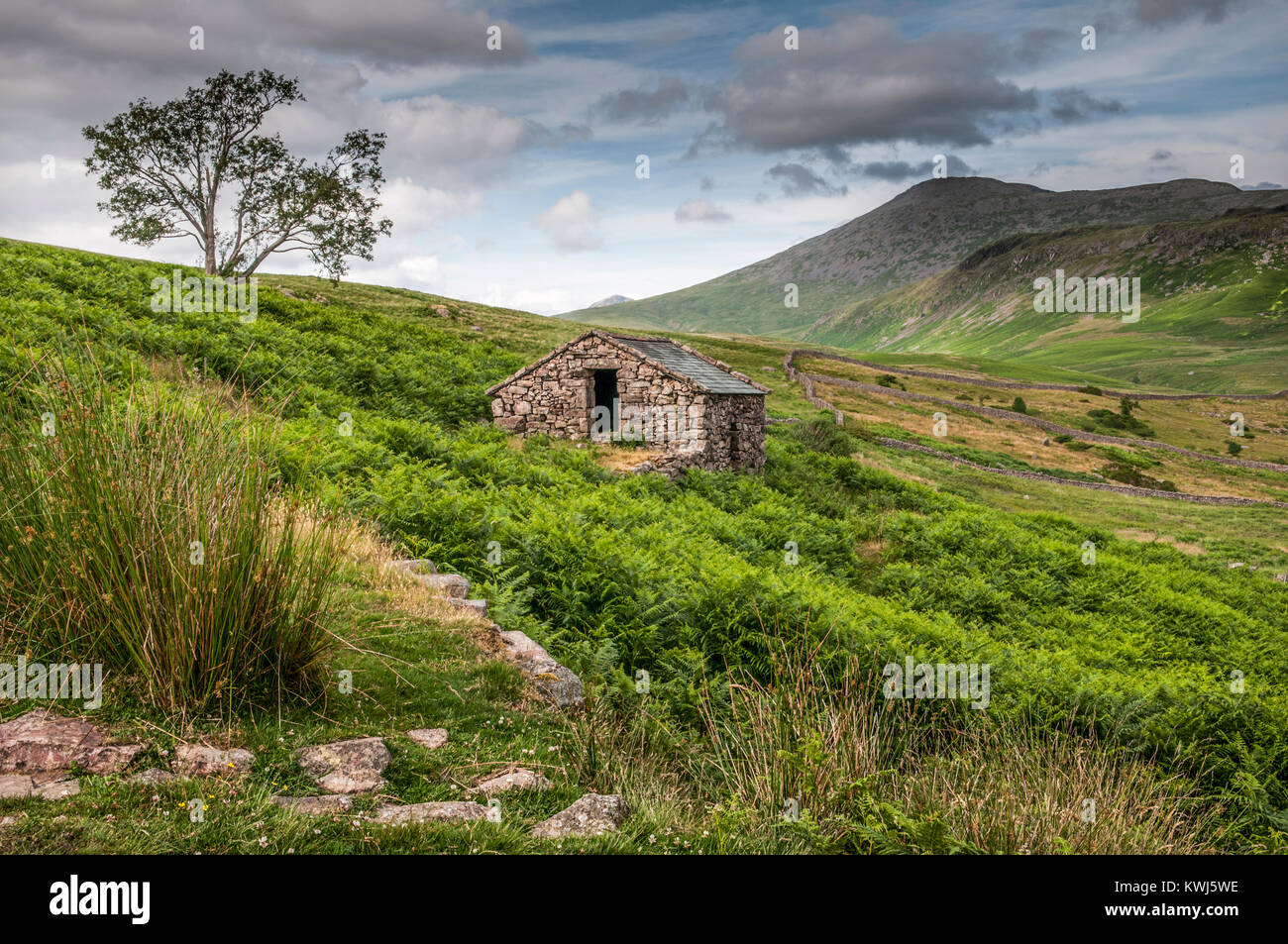 Eskdale im westlichen Bereich des Lake District National Park Cumbria GROSSBRITANNIEN Stockfoto