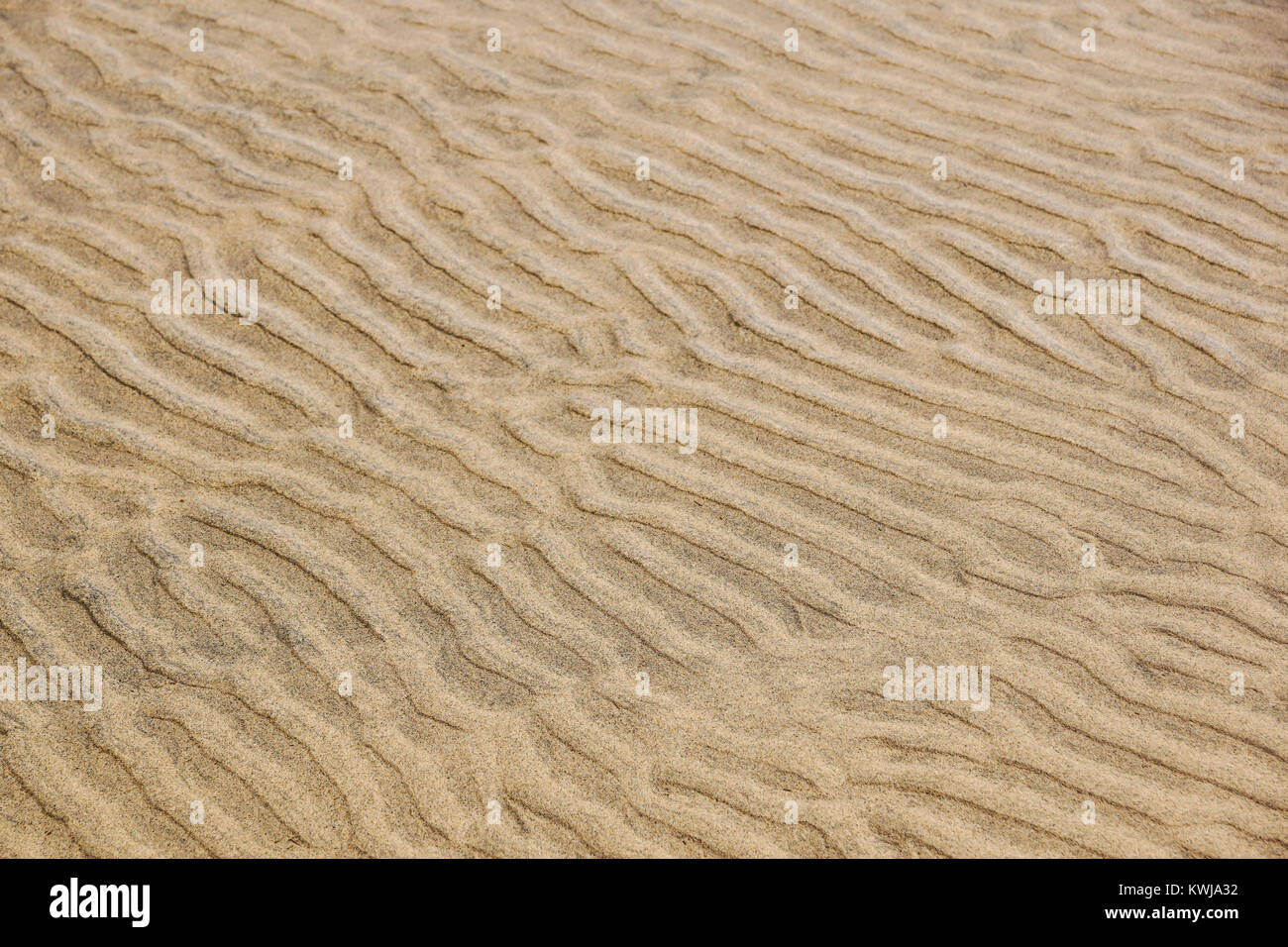 Klares Wasser über Sand unten auf Wind. Sand Wellen & Sonnenstrahlen Stockfoto