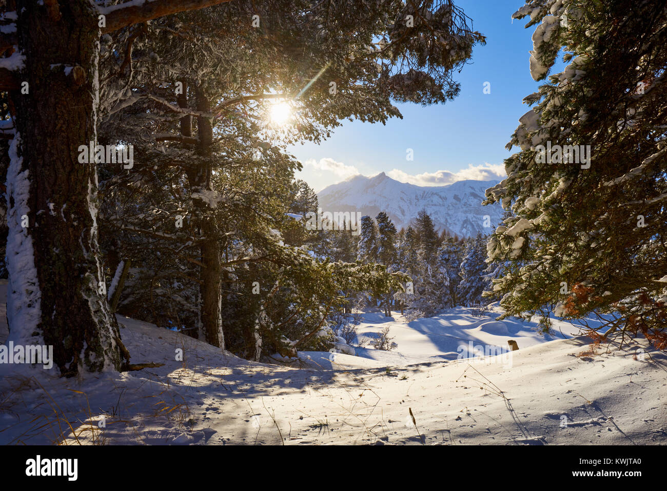 Winter Blick auf Gleize Peak von Saint-Michel-de-Chaillol. Champsaur, Hautes-Alpes, Französische Alpen, Frankreich Stockfoto