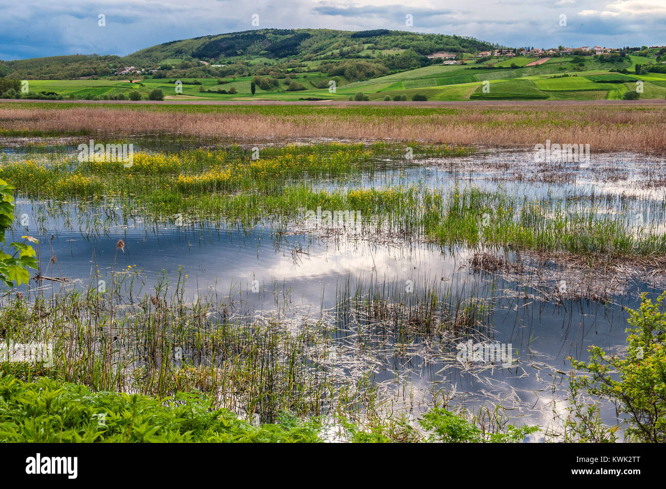 Sumpf von Colfiorito, Perugia, Umbrien. Umbrien das grüne Herz Italiens. Die colfiorito Sumpf ist eine Grünfläche mit geschützten natürlichen Oase mit seltenen Vögeln Stockfoto