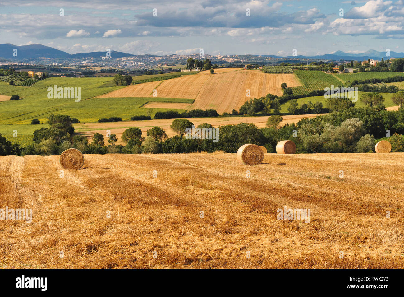 Perugia, Umbrien, Italien. Umbrien das grüne Herz Italiens. Typische Landschaft mit den warmen Farben des Sommers und den Riemenscheiben der frisch geernteten Weizen. Stockfoto