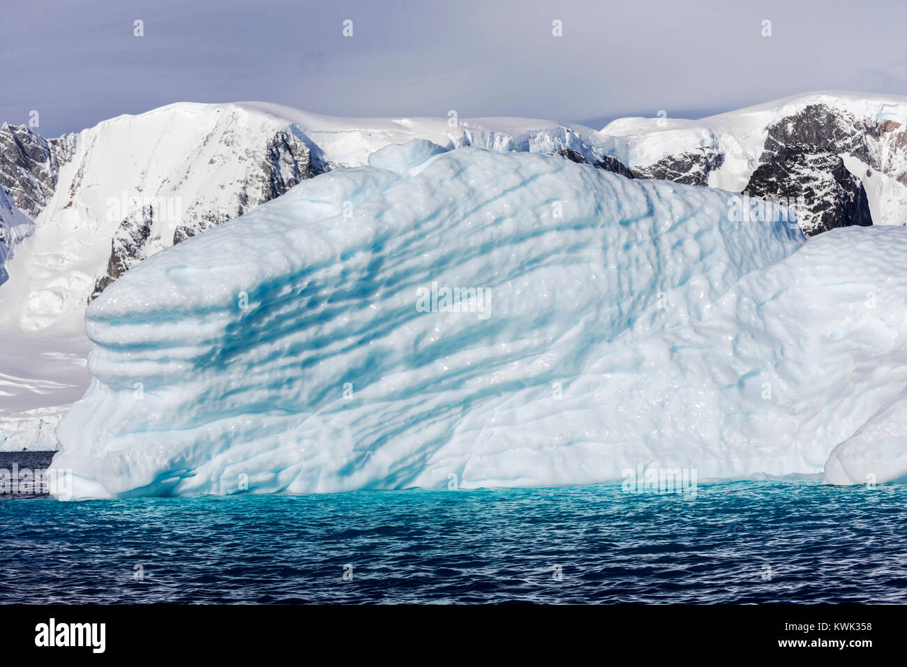Eis & Schnee der Antarktis Landschaft bedeckt; Rongé Island; Arctowski Halbinsel Stockfoto