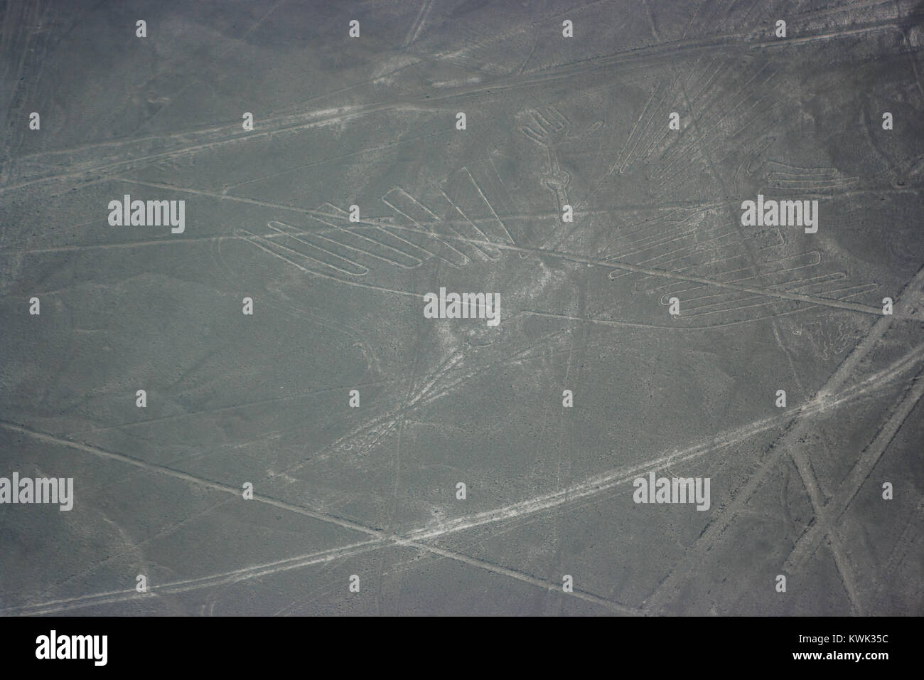 Luftbild des Vogels Abbildung bei Nazca Linien aus dem Flugzeug gesehen, Nazca Lines, Peru Stockfoto