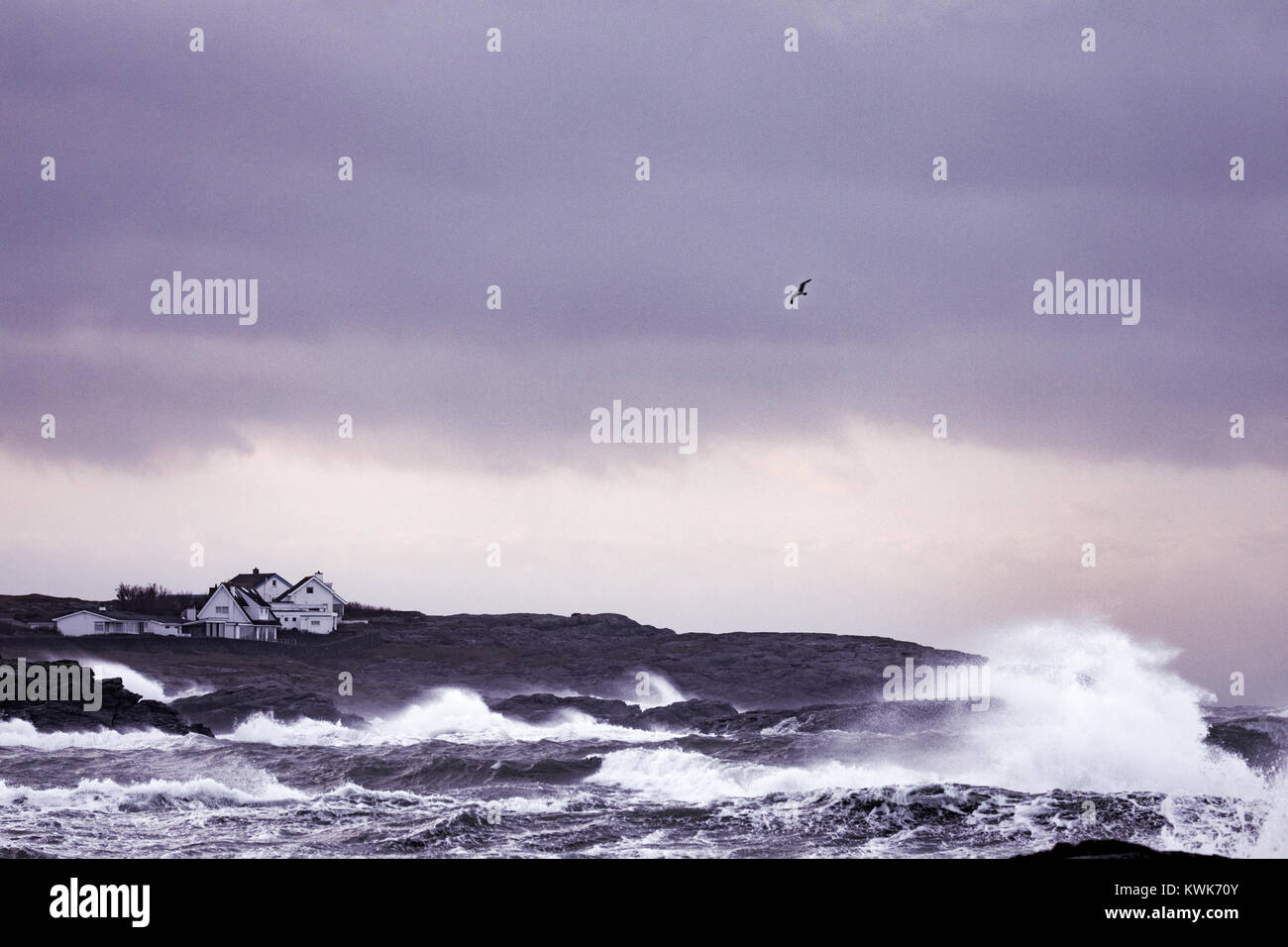 Überschwemmungen in den Küstengebieten und riesige Wellen in das kleine, isolierte Trearddur Bay auf der Isle of Anglesey während Sturm Eleanor, Wales, Großbritannien Stockfoto