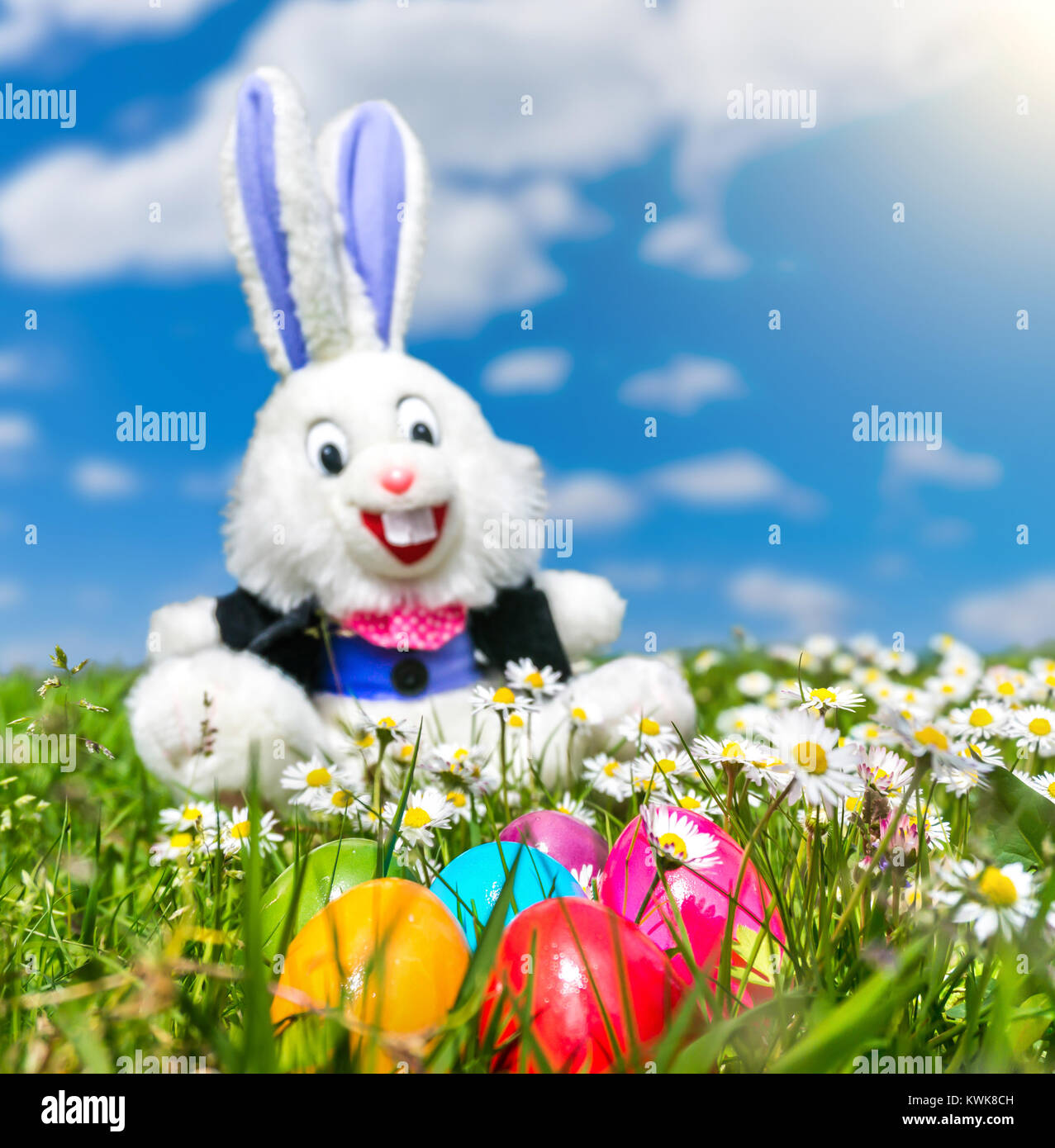 Schöne Aussicht auf die bunten Ostereier mit lustige Osterhasen im Hintergrund an einem sonnigen Tag auf der Wiese liegend Stockfoto