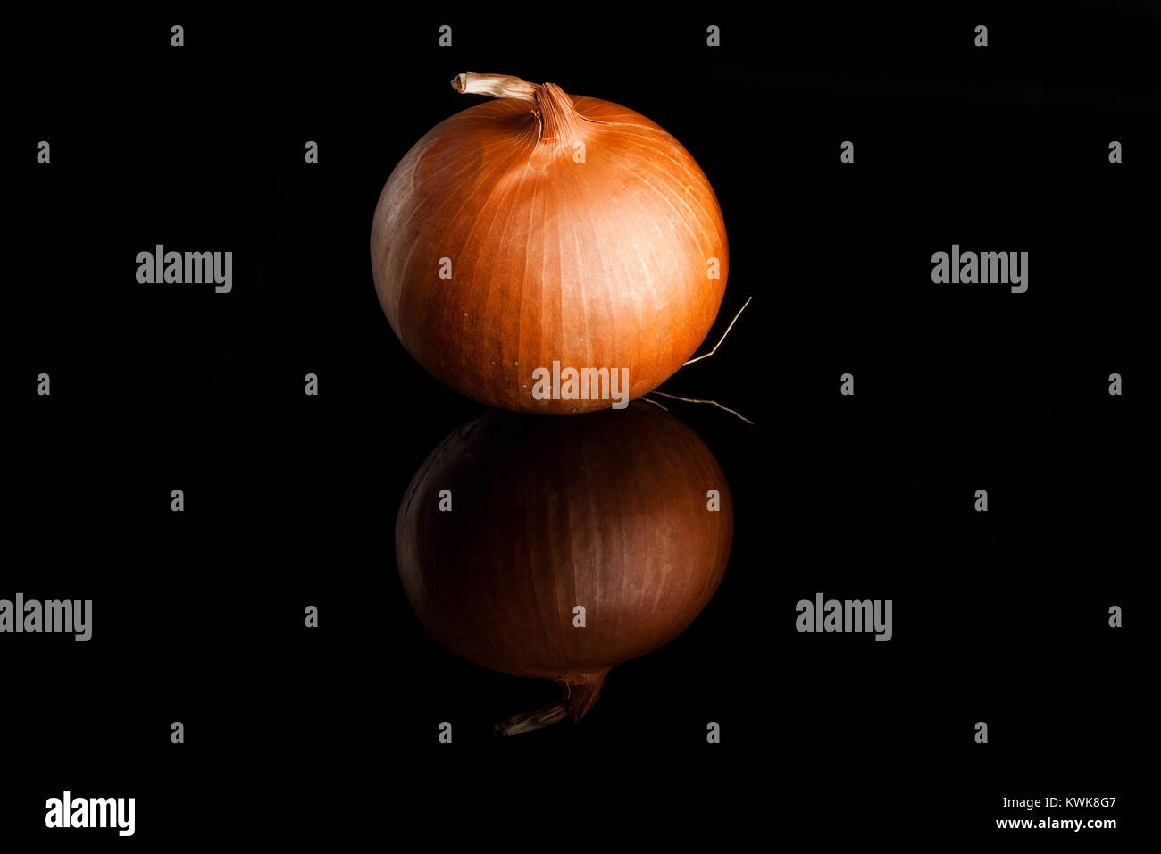 Ganze ungeschälte Zwiebel gold auf schwarzem Hintergrund mit Reflektion Stockfoto