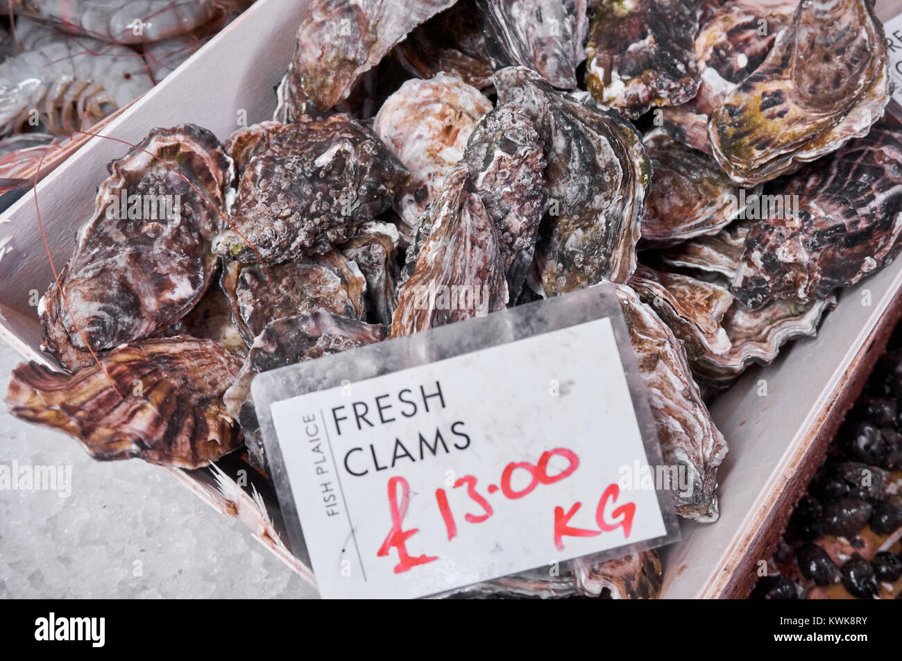 Frische schottische Austern (Muscheln) mit einem Namen kennzeichnen und den Preis. Stockfoto