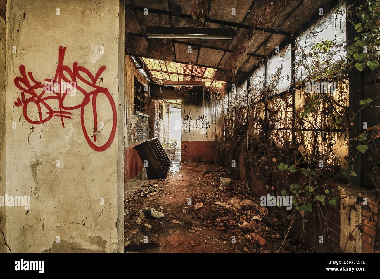 verlassene Fabrik Stockfoto