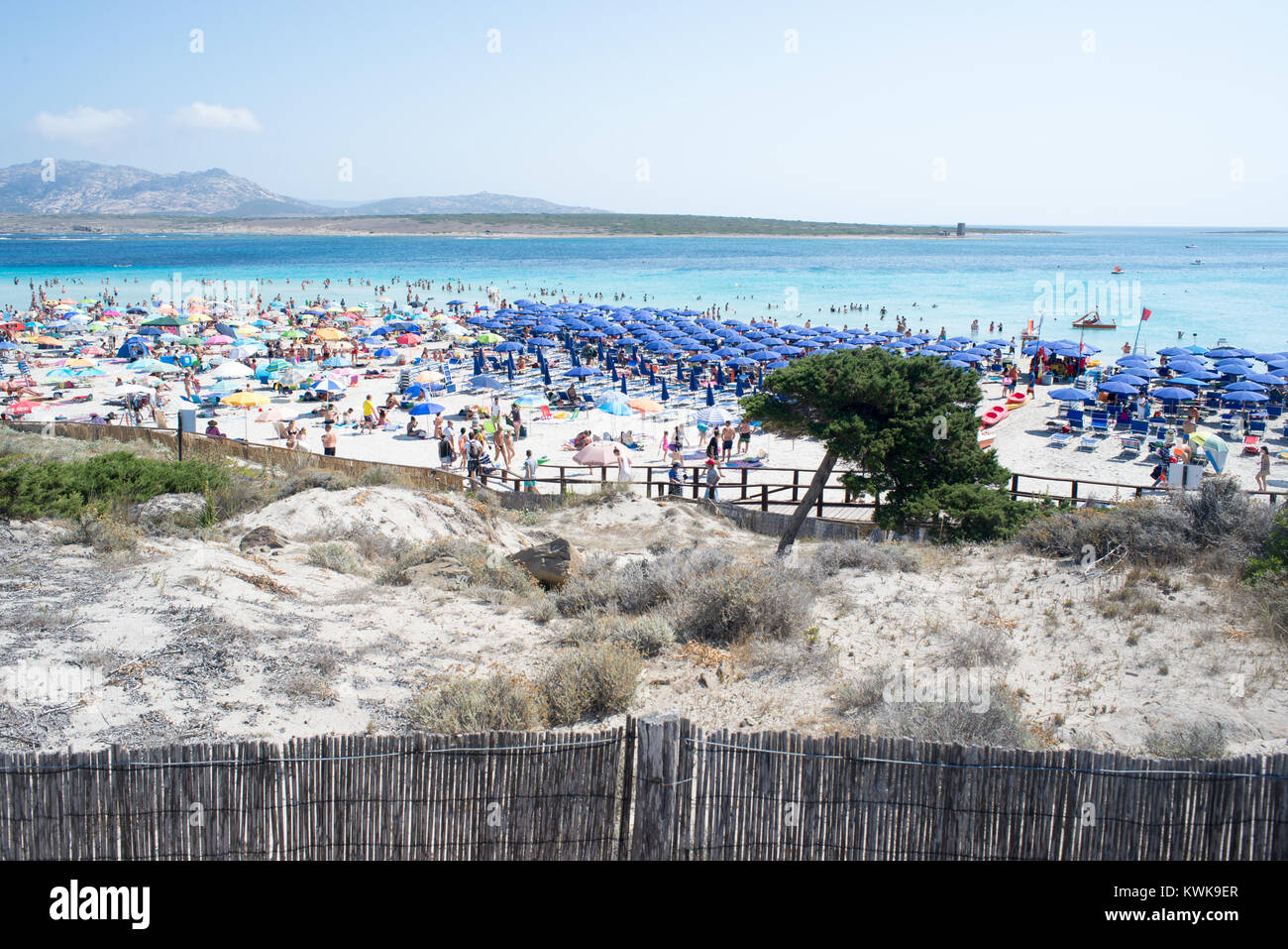 Panoramablick auf die Pelosa Strand in Stintino Sardinien in vollem touristischen Saison. Hunderte von Touristen in Scharen zu den schönen, aber kleinen Strand Stockfoto