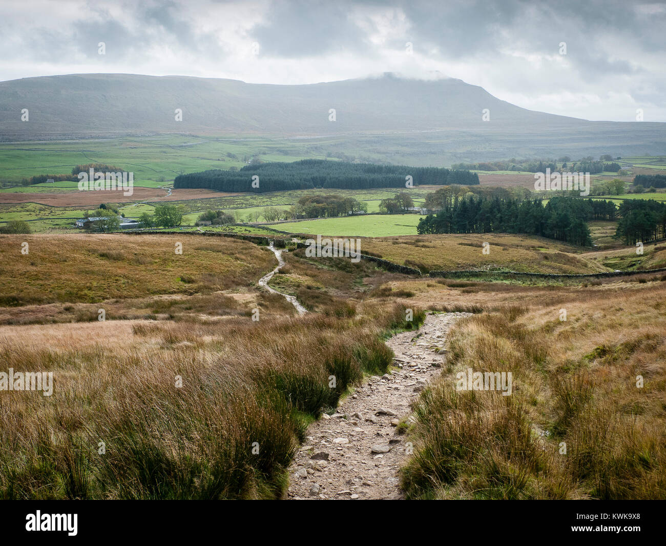 Bis zu Whernside Weg, mit Blick auf Ingleborough, 3 Gipfel, Yorkshire Dales, England, Großbritannien Stockfoto