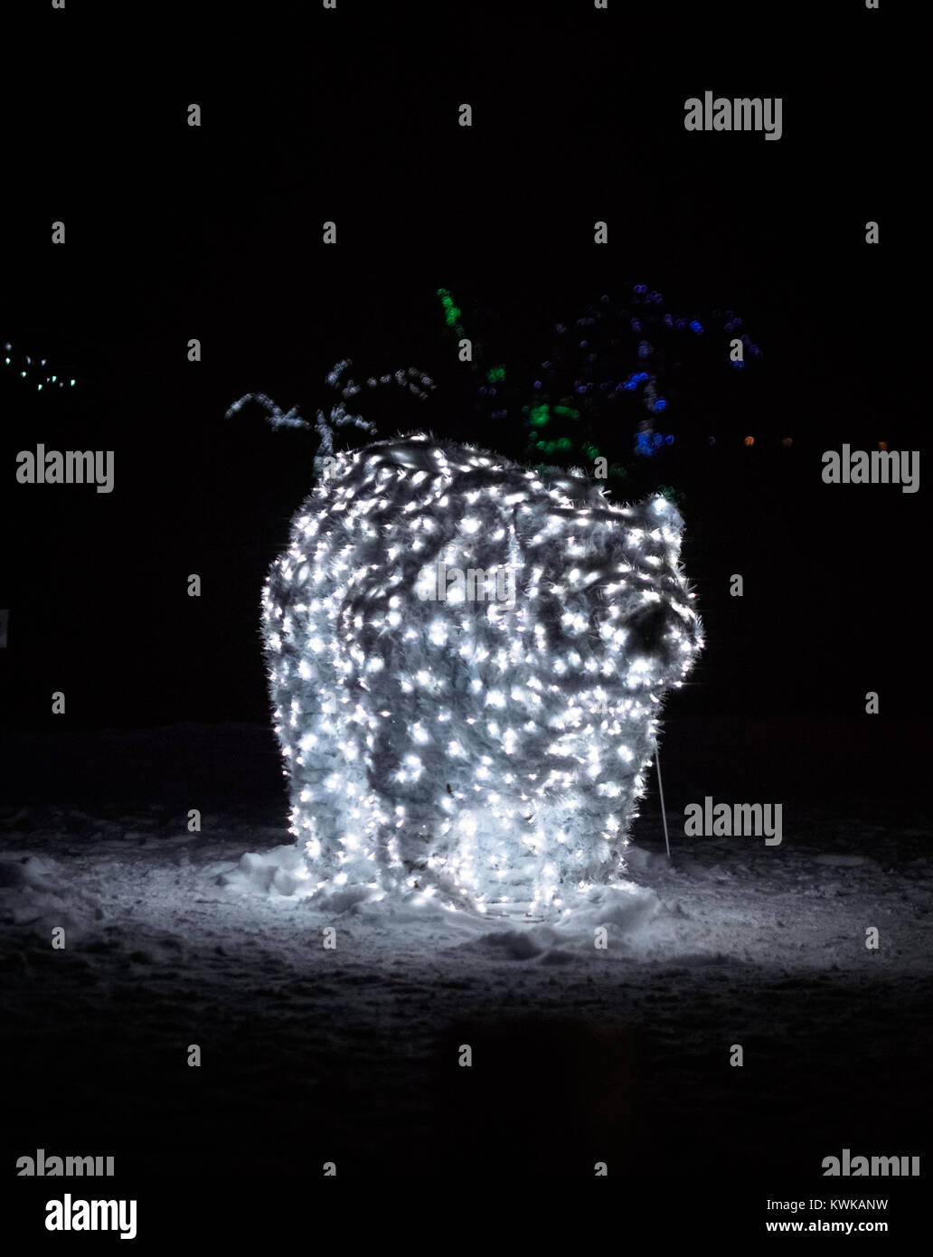 Eine stationäre Eisbären durch das Aufleuchten der Holiday Lichter in einem Winter Wonderland (Winter Festival der Lichter) bei Niagara Falls, Ontario, Kanada erstellt Stockfoto