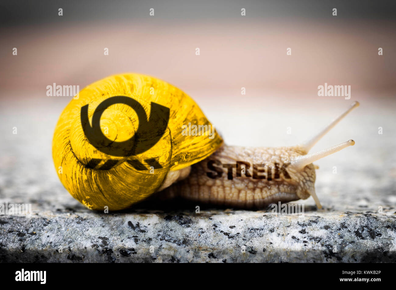 Mit post horn Schnecke, symbolische Foto Poststreik, Schnecke, mit Posthorn, Symbolfoto Post-Streik Stockfoto