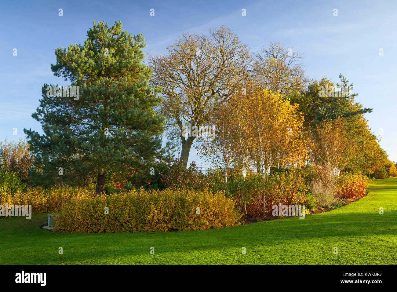 Brightwater Gärten, Saxby, Lincolnshire, Großbritannien. Herbst, Oktober 2017. Stockfoto