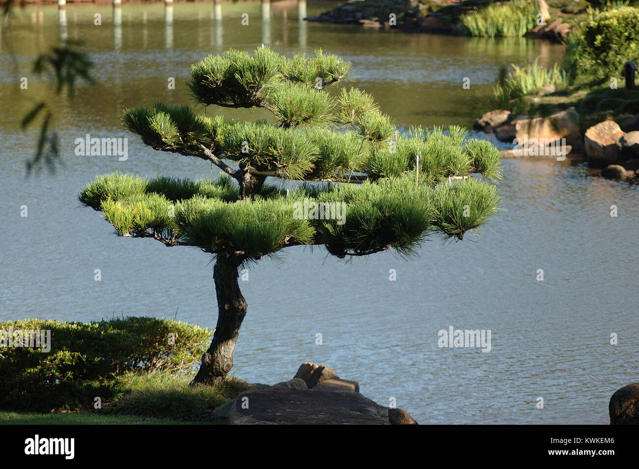 Ruhige Lage im Japanischen Garten, Toowoomba, Queensland, Australien Stockfoto