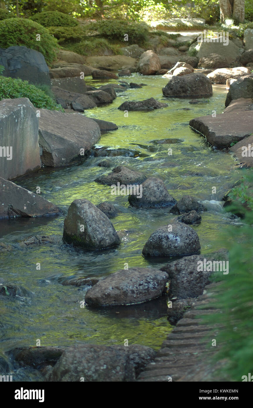 Reflexionen über Stream im Japanischen Garten, Toowoomba, Queensland, Australien Stockfoto