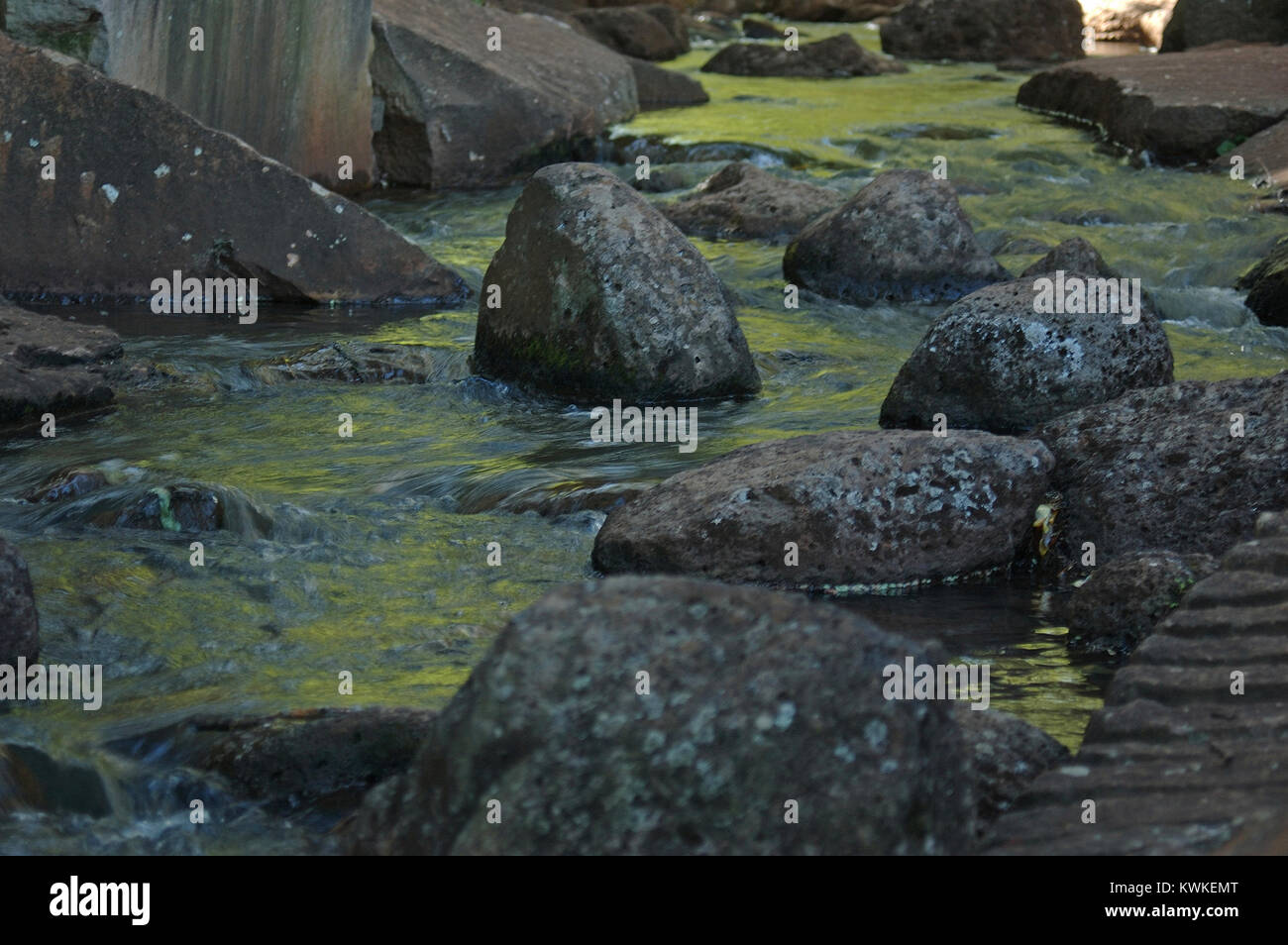 Reflexionen über Stream im Japanischen Garten, Toowoomba, Queensland, Australien Stockfoto
