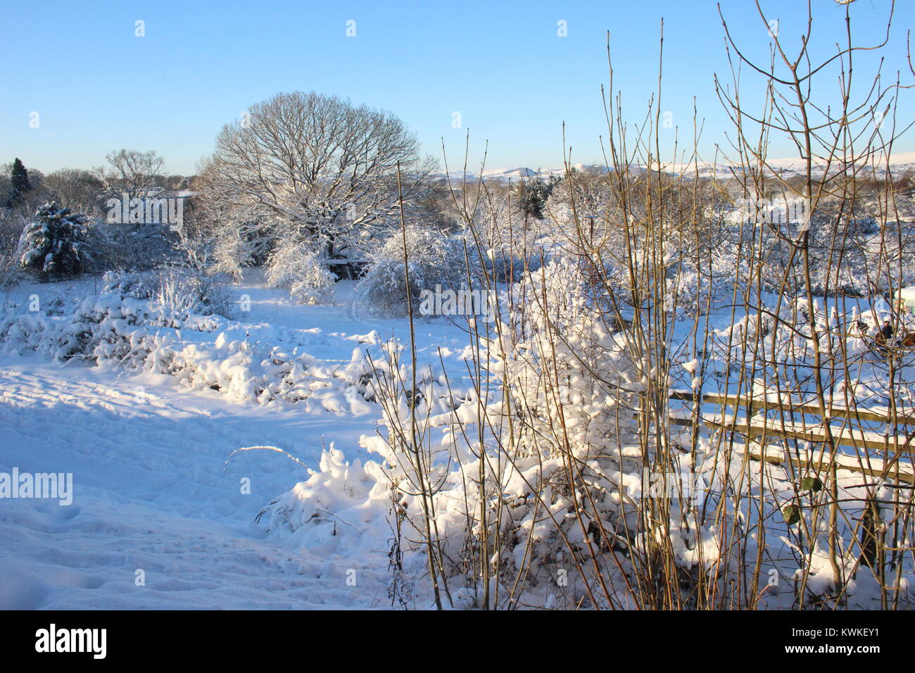 Dezember 2017 Schneefall neben dem A483 und dem Herzen von Wales Eisenbahnlinie, Howey, Mid Wales mit schneebedeckten Bäumen und sonnige Himmel Stockfoto