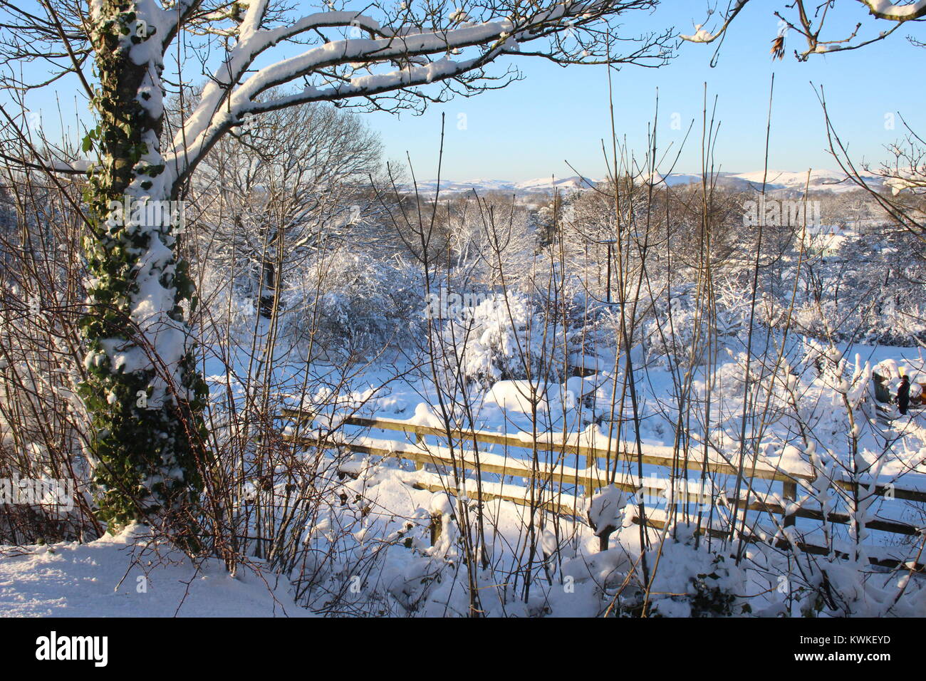 Sonnenschein auf Schnee, neben dem A483 und dem Herzen von Wales Eisenbahnlinie, Howey, Mid Wales, Dez 2017. Ersten grossen Schneefall im Winter Stockfoto
