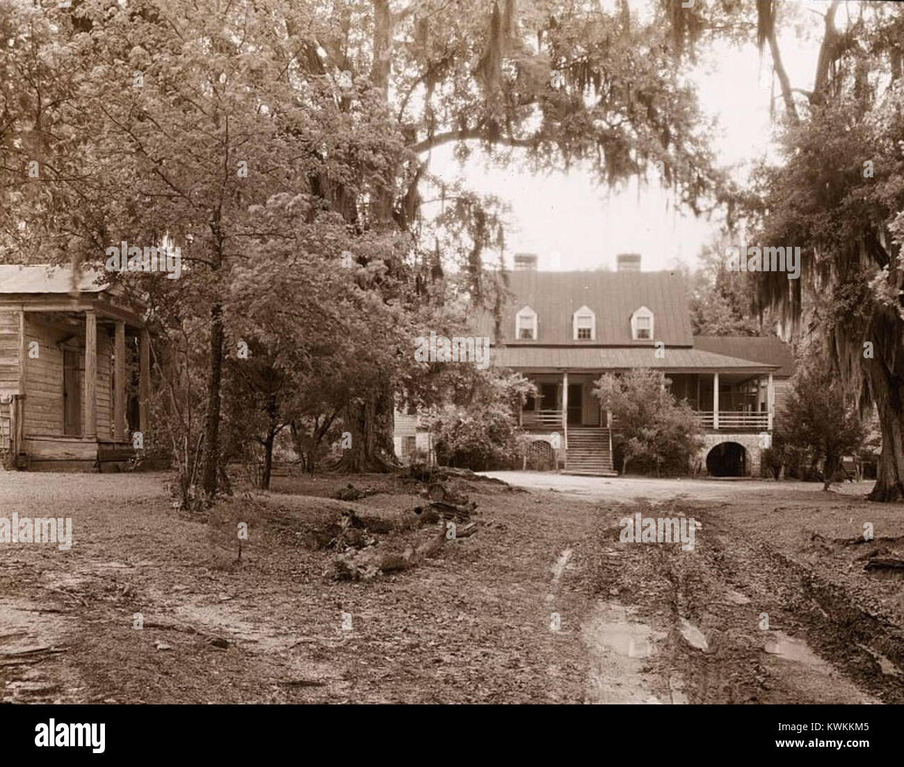 Das historische Plantagenhaus „Eutaw“ in der Nähe von Eutawville, Berkeley County, South Carolina, das um das Ende des 18. Jahrhunderts erbaut wurde, veranschaulicht die Architektur des Südens, die Plantagenwirtschaft und die frühen amerikanischen Siedlungsmuster. Stockfoto