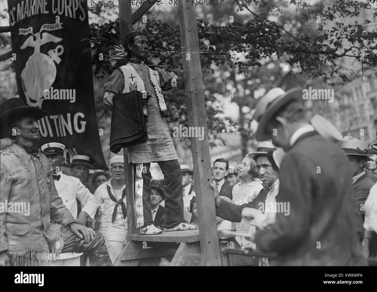 Ein Foto eines Weißkopfseeadlers auf dem REKRUTEN, das eine symbolische Darstellung des nationalen Vogel- und Marinestaubes der Vereinigten Staaten darstellt. Stockfoto