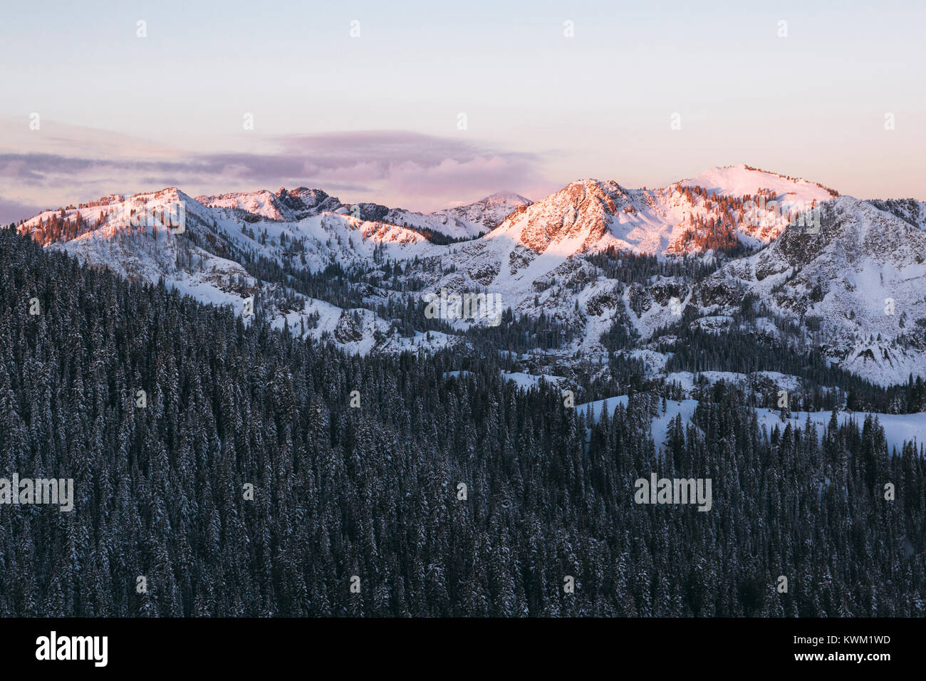 Hohen Winkel ruhigen Blick auf die Bäume gegen schneebedeckte Berge Stockfoto